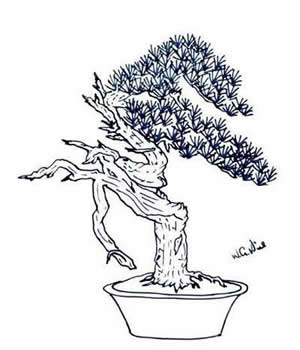 Bonsai ink-sketch
